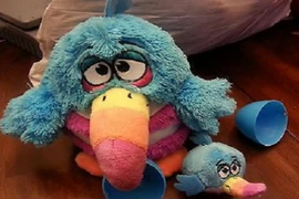 Bất ngờ ý nghĩa may mắn của loài chim cú ăn đêm