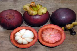 Lợi ích không ngờ của “nữ hoàng trái cây” măng cụt