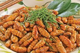 4 lưu ý cần nhớ khi ăn nhộng tằm tránh mắc bệnh