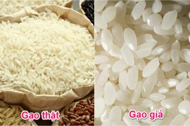 Mẹo hay giúp phân biệt gạo giả, gạo nhựa đơn giản