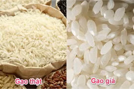 Mẹo hay giúp phân biệt gạo giả, gạo nhựa đơn giản