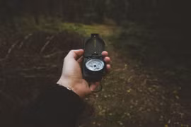 Video: 20 kỹ năng sinh tồn nơi hoang dã đáng ghi nhớ