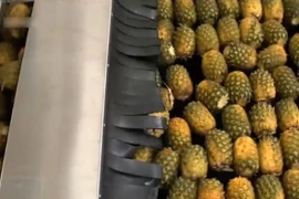 Cận cảnh dây chuyền sản xuất nước ép cam, dứa, dâu, đu đủ