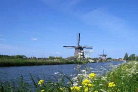 “Bí mật” ít người biết về cối xay gió