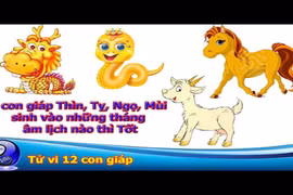 Video: 4 con giáp Thìn, Tỵ, Ngọ, Mùi sinh vào những tháng âm lịch nào thì tốt nhất