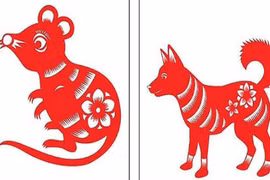 Video: Năm Mậu Tuất, xem tình yêu người tuổi Tuất với các con giáp khác