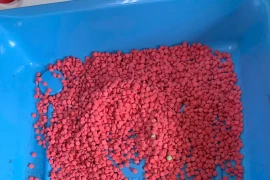 3 đối tượng vận chuyển, tàng trữ 5.000 viên ma túy bị cảnh sát bắt giữ