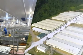 Công ty Dabaco Thanh Hóa bị phạt do vi phạm về môi trường