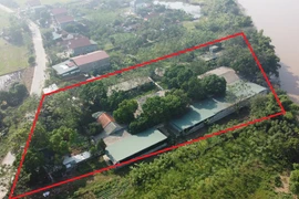 Phú Thọ: Người dân bức xúc trại lợn gây ô nhiễm