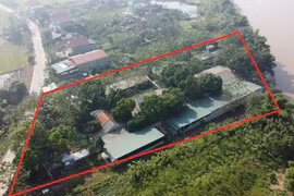 Phú Thọ: Người dân bức xúc trại lợn gây ô nhiễm