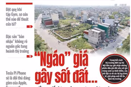 KHOA HỌC VÀ ĐỜI SỐNG SỐ 43 - 24/10/2024