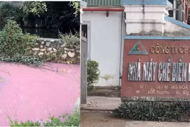 Xả thải ra môi trường, Công ty Sơn Thủy bị phạt 320 triệu đồng