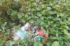 Cần nhân rộng mô hình bể chứa bao bì thuốc bảo vệ thực vật