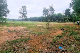 Đồng Nai sẽ thu hồi 3.700 ha đất nông nghiệp để làm dự án