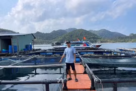 Thu nhập “khủng” nhờ nuôi loại cá đặc sản ở huyện đảo Kiên Giang