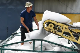 Gạo Việt vượt xa các đối thủ, có giá đắt đỏ nhất thế giới