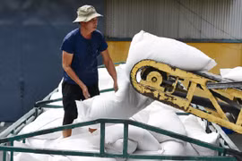 Gạo Việt vượt xa các đối thủ, có giá đắt đỏ nhất thế giới