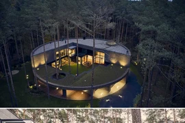 Độc đáo ngôi nhà tròn lấy cảm hứng từ hình dáng của thân cây