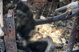 Phát hiện thi thể cháy thành than trong ô tô ở Khánh Hòa 