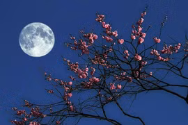 Kiêng kỵ phong thủy không thể xem thường trước tết Trung Thu