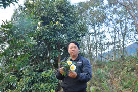 Chuyện huyền bí ở bản Mông cao nhất Việt Nam 