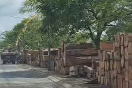 Đồng Nai: 'Chợ gỗ' trên vỉa hè đường Điểu Xiển, phường Tân Biên