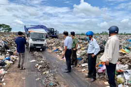 Tiêu hủy gần 6,6 tấn chả chay “ngậm” hàn the