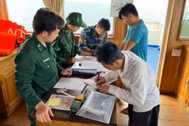 Biên phòng TPHCM bắt giữ tàu vận chuyển trái phép 100.000 lít dầu DO