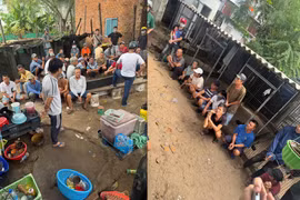 Bình Thuận: Triệt phá sới bạc quy mô lớn, bắt giữ 44 đối tượng