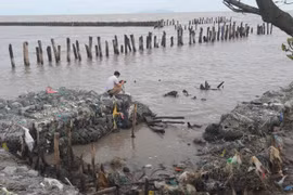 Xử lý sai phạm trên 90 tỷ đồng tại dự án nâng cấp đê biển Tây