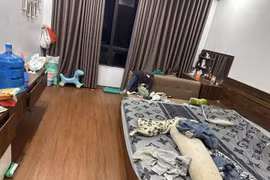 Chồng quyết định ly hôn vì vợ nuôi mèo nhưng không dọn nhà