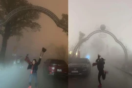 Đi du lịch Tam Đảo để chữa lành, du khách nhận kết hú hồn