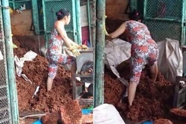 Rùng mình trước hình ảnh làm món khoái khẩu của nhiều chị em