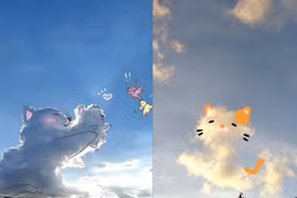 Giới trẻ đua nhau “săn mây” về làm thú cưng