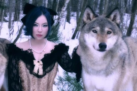 Nữ giám đốc 9x chi hàng chục triệu nuôi chó săn quý tộc