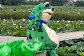 “Ếch báo” chụp sen sống ảo ở Ninh Bình và cái kết nhớ đời