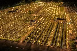 Cảnh tượng đẹp lung linh ở làng hoa lớn nhất Đà Nẵng 