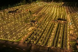 Cảnh tượng đẹp lung linh ở làng hoa lớn nhất Đà Nẵng 