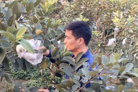 Từng 'gây bão' MXH rồi thất bại thảm hại, Lệ Rơi giờ ra sao?