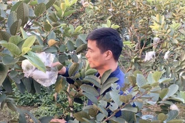 Từng 'gây bão' MXH rồi thất bại thảm hại, Lệ Rơi giờ ra sao?