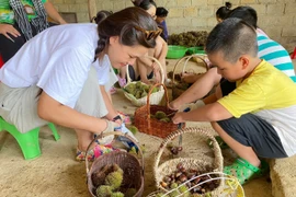 Rủ nhau lên Lạng Sơn nhặt hạt dẻ với vé vào vườn 0 đồng