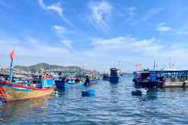 Khám phá vẻ đẹp bình dị của đảo Trí Nguyên