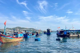 Khám phá vẻ đẹp bình dị của đảo Trí Nguyên