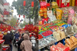 Hòa mình vào không khí sắm Tết nhộn nhịp ở phố cổ Hà Nội