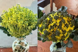 Chị em rủ nhau cắm hoa súp lơ, thành quả đẹp không tưởng