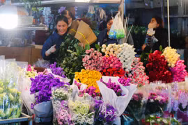 Chợ hoa đêm Hà Nội tấp nập dịp 8/3