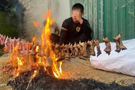 Món ăn đặc sản mùa mưa Nghệ An nhìn hết hồn