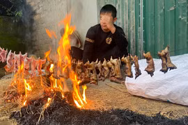 Món ăn đặc sản mùa mưa Nghệ An nhìn hết hồn