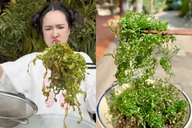 Mạng xã hội rần rần trước trend lá chuối chiên giòn rụm