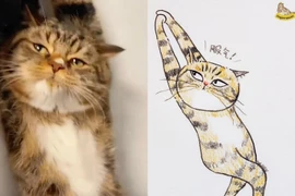 Loạt meme mèo “xấu đau xấu đớn” khiến netizen phải lưu về liền tay